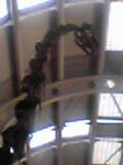 シカゴ空港の恐竜